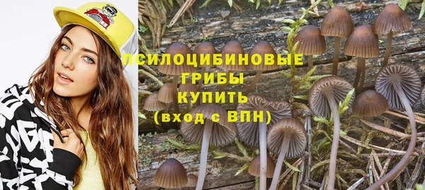твердый Вяземский
