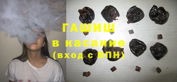 твердый Вяземский