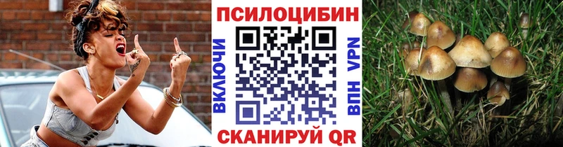 Галлюциногенные грибы мухоморы  Заозёрск 
